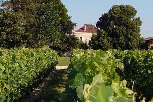 Moulis-en-Médoc 基提涅昂布里耶特旅馆酒店 外观 照片